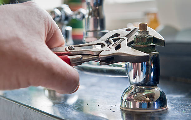 Best Mold removal after water damage  in Garden Acres, CA