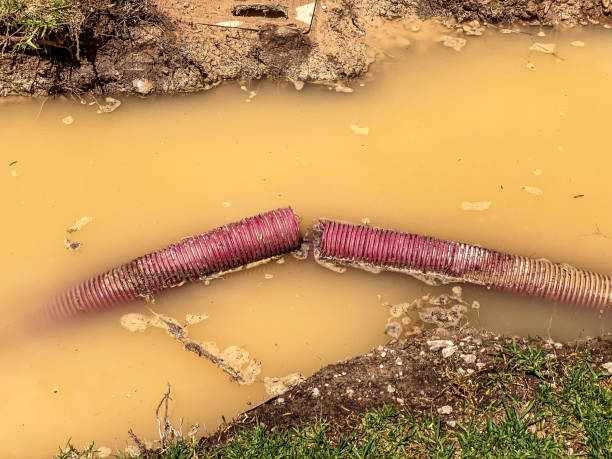 Best Commercial water damage restoration  in Garden Acres, CA