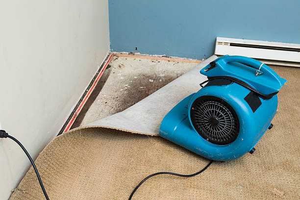Best Carpet water damage restoration  in Garden Acres, CA